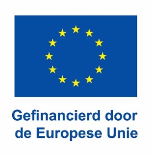 Logo: gefinancierd door Europese Unie